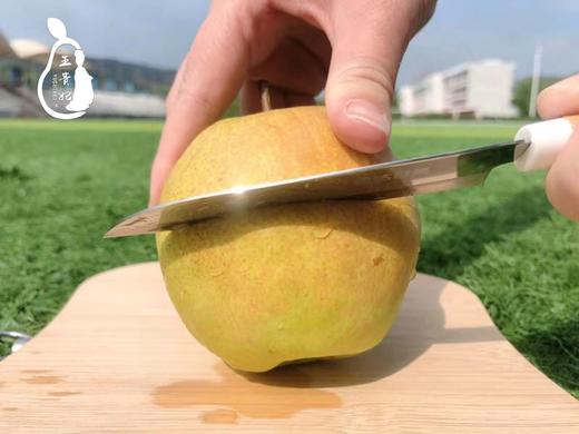 玉露香梨6斤礼盒 商品图2