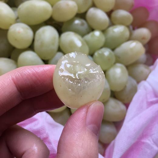 新疆木纳格葡萄