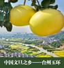 台州玉环 精品文旦 清甜无渣 产地直发14~15斤（内含4个）【季节限定 只售两周】 商品缩略图1