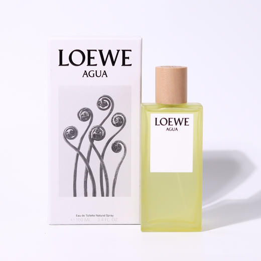 罗1威 罗1威之水 L0ewe Agua de L0ewe EDT 分装 商品图4