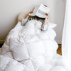 BB米马杂货 特别定制的鹅绒被冬被 让你窝在云里，过寒冬！ 商品缩略图2
