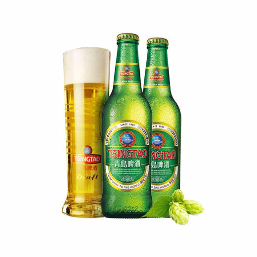 全国包邮青岛啤酒经典11度330ml24瓶装啤酒整箱