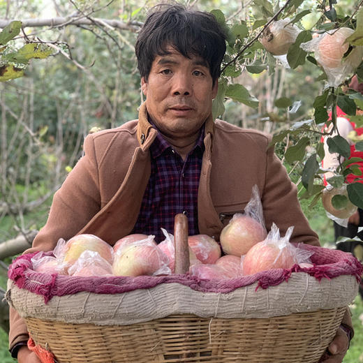 【助农】陕西山地丑苹果,山地种植,脆甜多汁,果味浓郁!