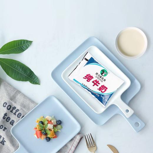 百利包纯牛奶 200ml*16袋/箱 - 得力康乳业商城