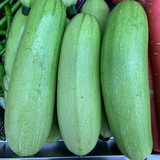 西葫芦每公斤 商品图0