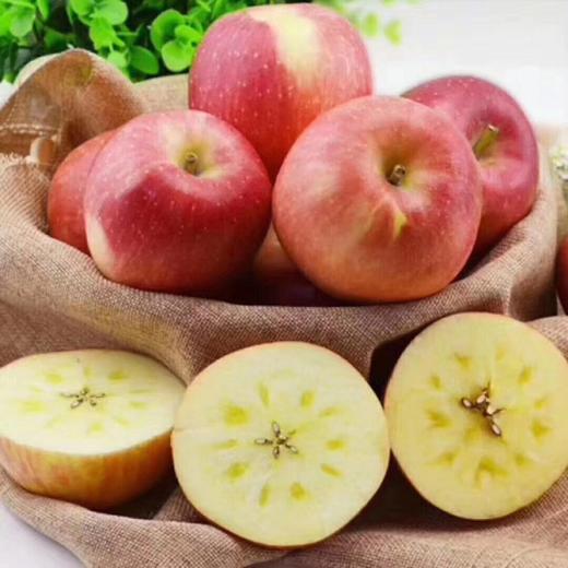 新疆阿克苏冰糖心苹果5斤装大中小果脆甜多汁阿克苏核心产区 商品图0