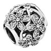 PANDORA/潘多拉 银色耀眼雏菊草甸镂空串珠791492CZ 商品缩略图1