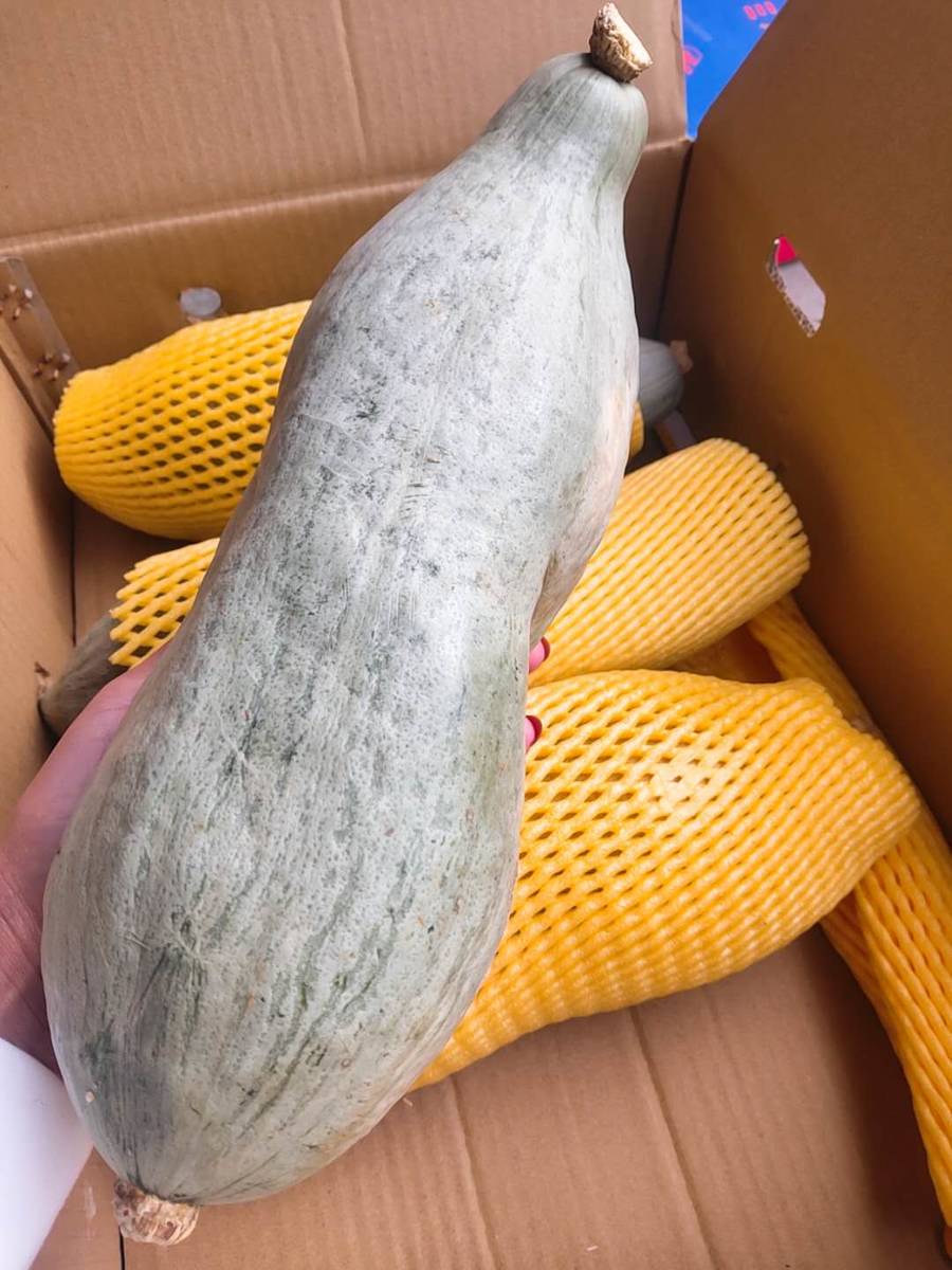 新疆金丝栗贵族南瓜 ,皮薄肉厚,甜糯细腻 栗味清香 营养丰富 金丝栗"