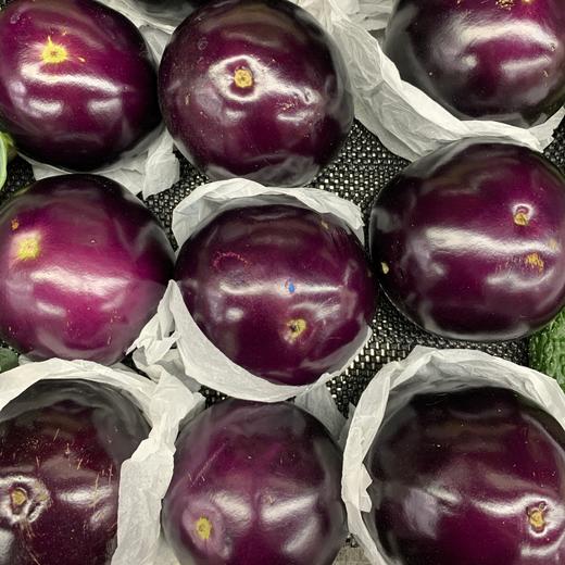 茄子圆每公斤 商品图0