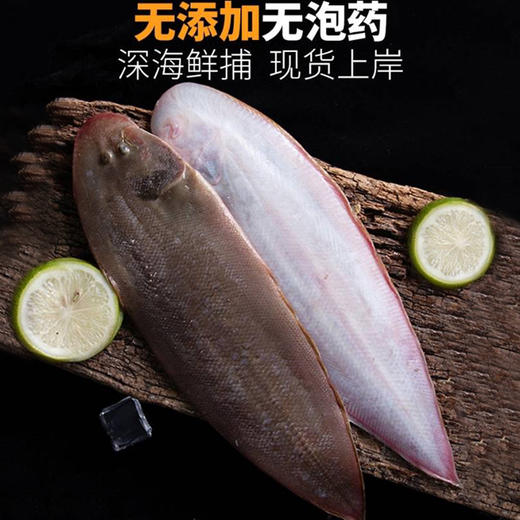 【野生】东海玉秃鱼 商品图1