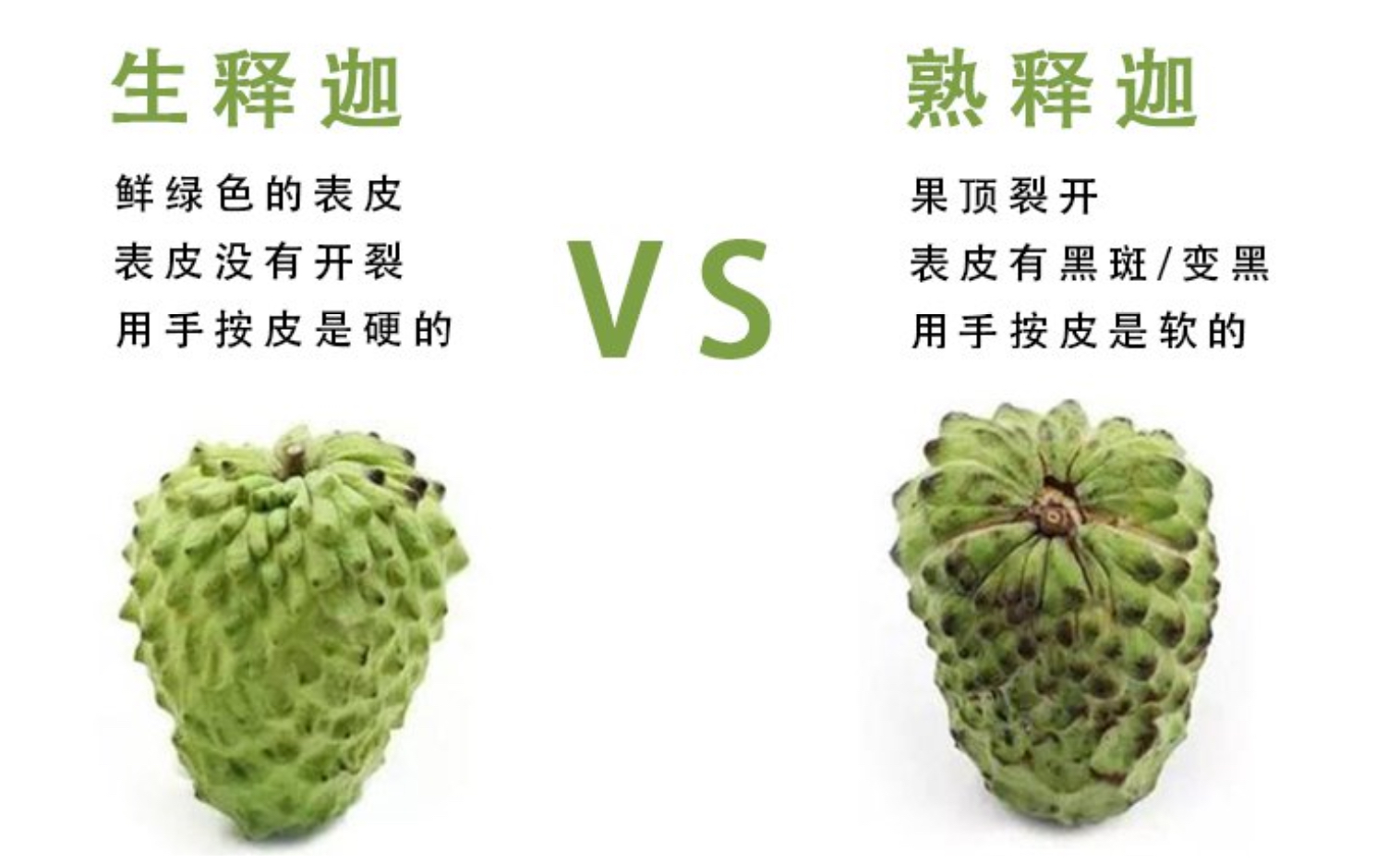 台湾凤梨释迦一级大果4斤礼盒装 活动再送1斤(约4-6个左右)