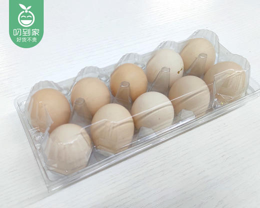 漳州土鸡胎蛋/1盒（10枚） 商品图3