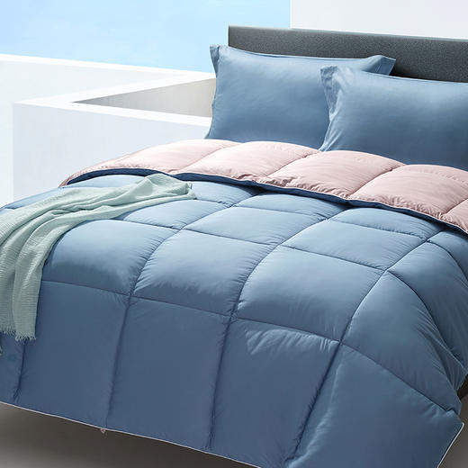 HBXW-037 仿羽绒加厚冬被 商品图1