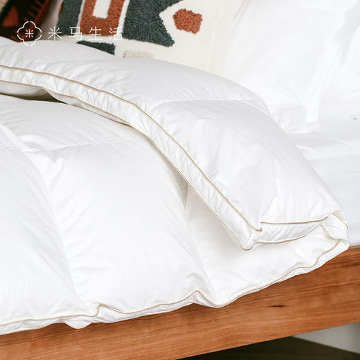 BB米马杂货 特别定制的鹅绒被冬被 让你窝在云里，过寒冬！ 商品图3
