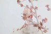 心雨/大象500版/吴琼 商品缩略图6