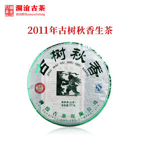 澜沧古茶2011年古树秋香普洱茶生茶景迈古树谷花茶