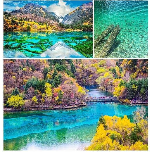 极速2日九寨沟+黄龙真纯玩  三环内接赠送特色羌家宴 商品图1