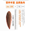 【野生】东海玉秃鱼 商品缩略图4