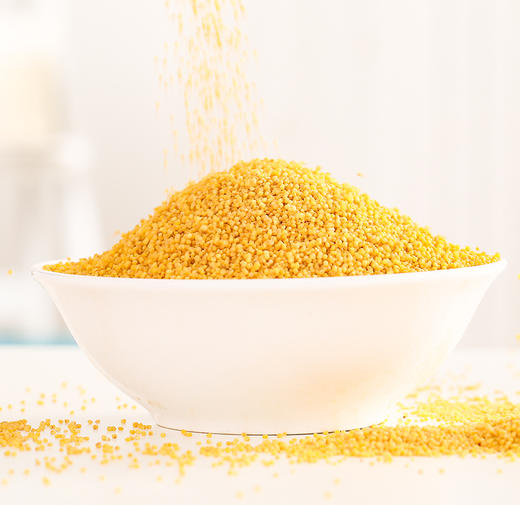 黔东南黄平【糯小米】500g 农家自种新米 生态小米 粗粮养生 熬健康好粥 全国包邮 商品图1