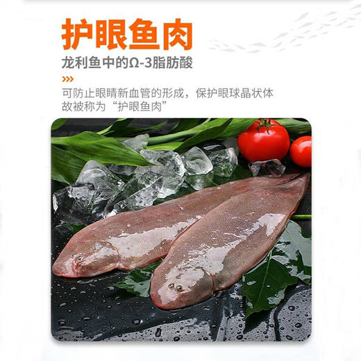 【野生】东海玉秃鱼 商品图2