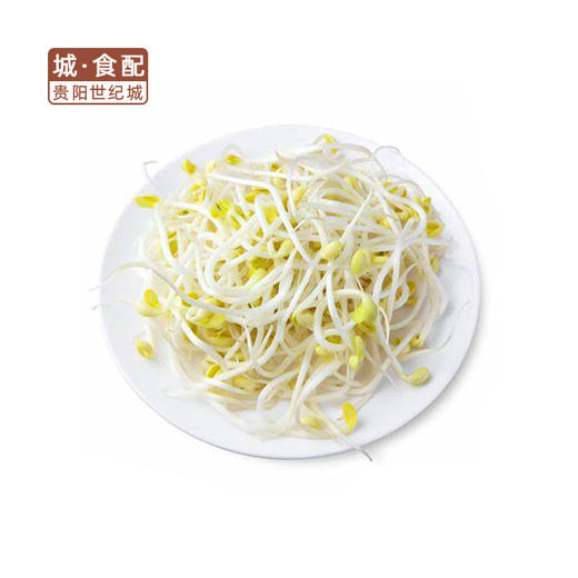 黄豆芽500g/份【GYZH】 商品图0