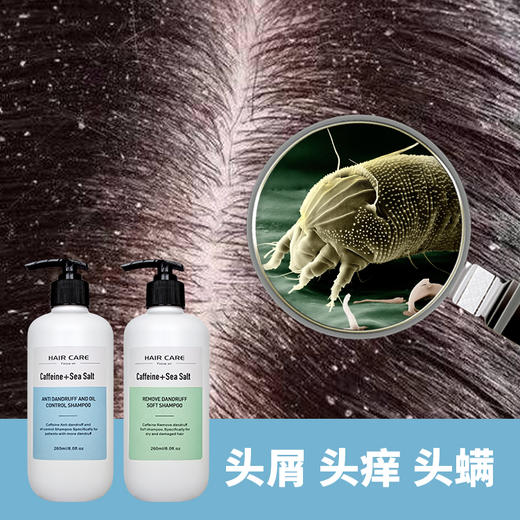 克兰慕林洗发露，咖啡因+海盐，控油祛屑止痒，吉娜推荐 商品图1