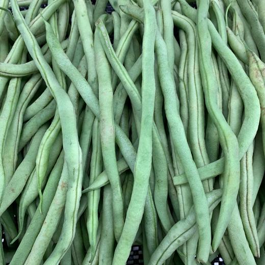 豆角王每公斤 商品图0