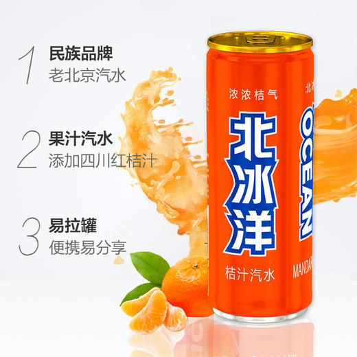 【整箱】北冰洋桔汁汽水330ml*24罐 商品图1