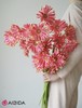 非洲菊卷边·北海道 商品缩略图0