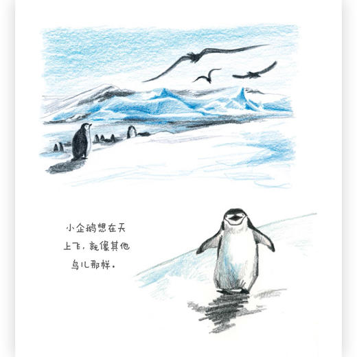 我能飞    浪花朵朵  后浪出版 商品图1