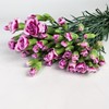 多头康乃馨·时尚太子 商品缩略图0