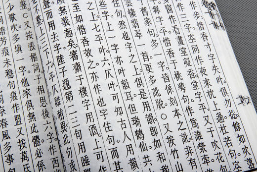 推送 ：国学宝典《词律》 商品图9