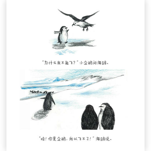 我能飞    浪花朵朵  后浪出版 商品图2