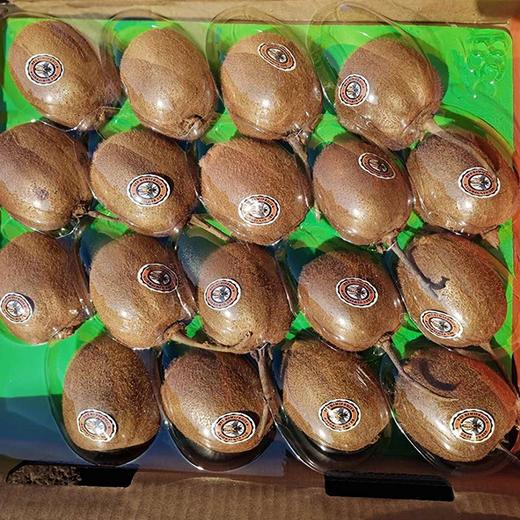 【蜜蜂奇异果】6粒 12粒 18粒  多规格任选蜜蜂授粉，口感惊艳 商品图2