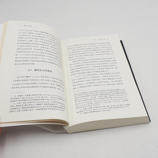 递归与偶然 许煜 技术哲学研究 学术著作 正版 华东师范大学出版社 商品图2