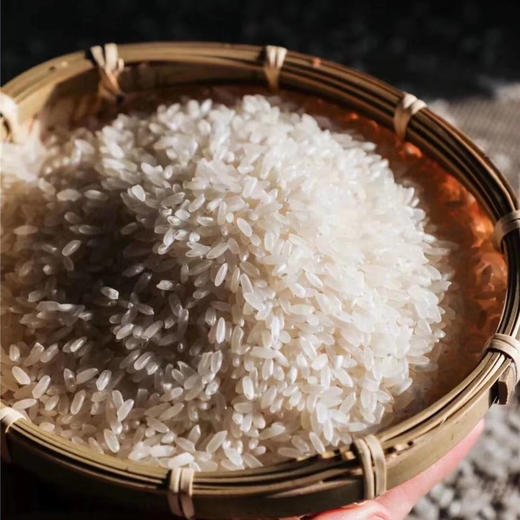 【·五常有机生态大米】黑土地培育，农科院新品。首批200亩试验田种植，前3年养地，后四年逐渐扩大种植，你敢买就敢让你惊艳。仅仅是生米，一打开包装就香飘四溢。 商品图3