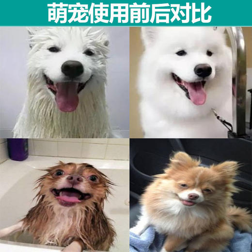 【专注狗狗健康，洗完超干净】专为狗狗研发，sha菌除螨无异味，狗狗专用沐浴露 商品图1