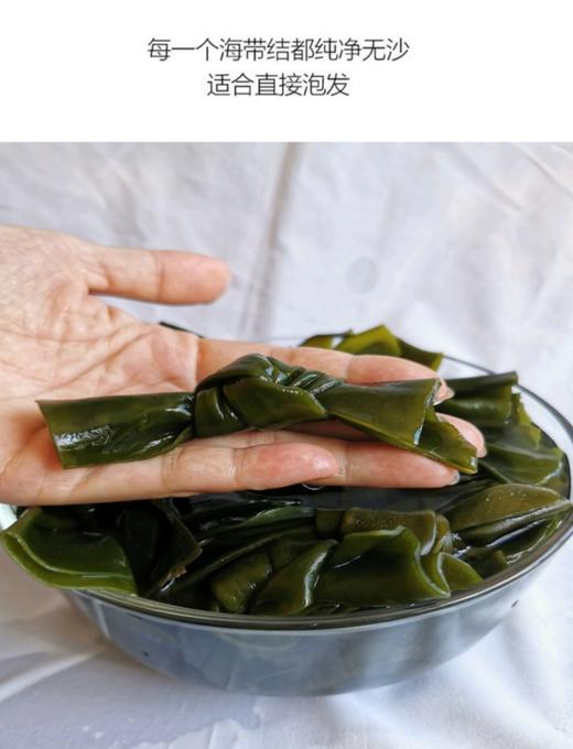 东山岛野生无沙海带结 商品图3