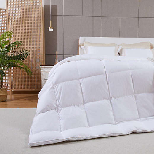 09kg白色汉麻世家生态羽绒被适合15m床汉麻粘胶被面95白鹅绒50081