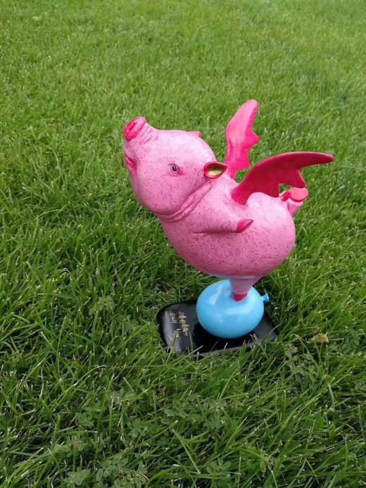 奔向幸福/299版 商品图1