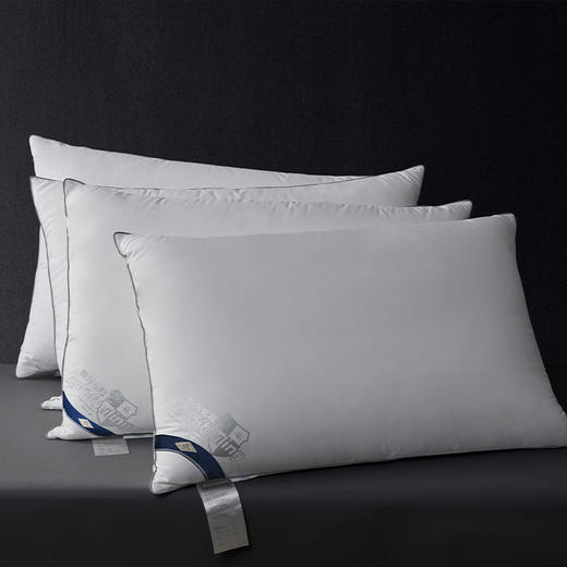 拒污95白鹅绒支撑枕 商品图4