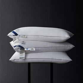 英伦玫瑰95白鹅绒支撑复合枕（标准）