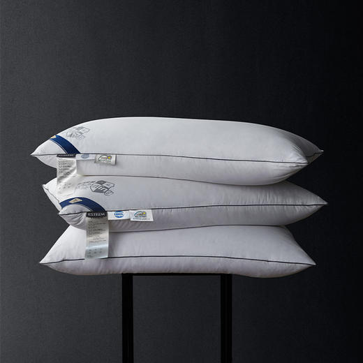 拒污95白鹅绒支撑枕 商品图0