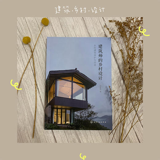 建筑师的乡村设计 乡村建筑保护与改造 南雪倩 乡村振兴书籍 乡村建筑发展历史现状及改造策略 乡村建筑改造休闲农庄生态园建设书 商品图1