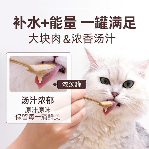 猫零食伊纳宝味润猫罐头80g*12 商品图4