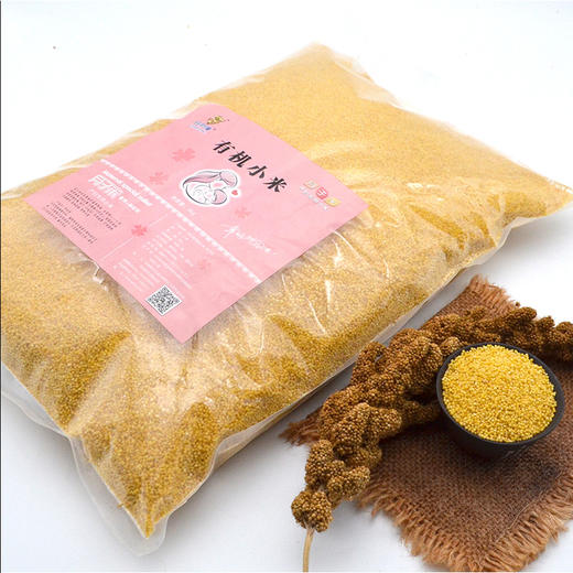 旺府隆有机小米（月子米）3kg 商品图1