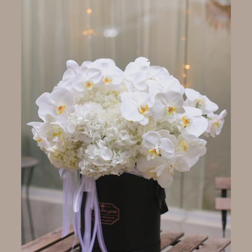 《秘密花园》-绣球蝴蝶兰抱抱桶 商品图0