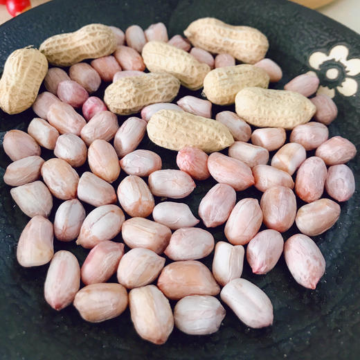 衙口花生益盛水煮花生日晒中琉球小琉球沙地花生95g*15包 商品图2
