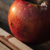 有机真的丑红富士苹果（满2件减20元） | 合作生产 Organic-real ugly Fuji apple | Coproduction 商品缩略图1