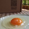 【葛粉蛋饼  食材组合优惠】组合优惠装:1斤野生葛根粉+1箱鸡蛋 商品缩略图2